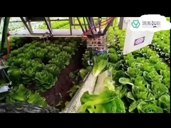 Sistemi di braccio resistenti del robot di Kuka per i robot di DELTA del Kr nel trattamento del braccio d'imballaggio di 7 Dof