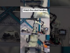 Comprensione più approfondita degli scenari di applicazione e dei vantaggi dei robot ABB